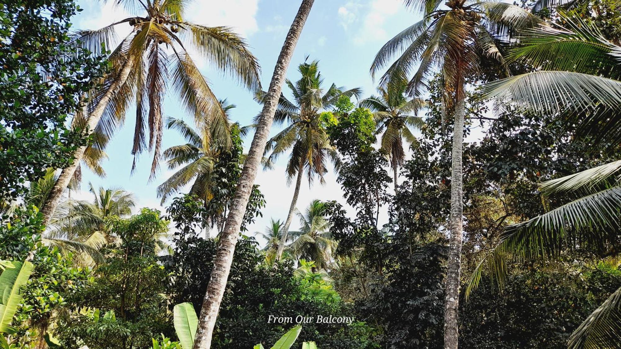 Le Meridien Bnb For Foreign Travelers Negombo Exterior foto