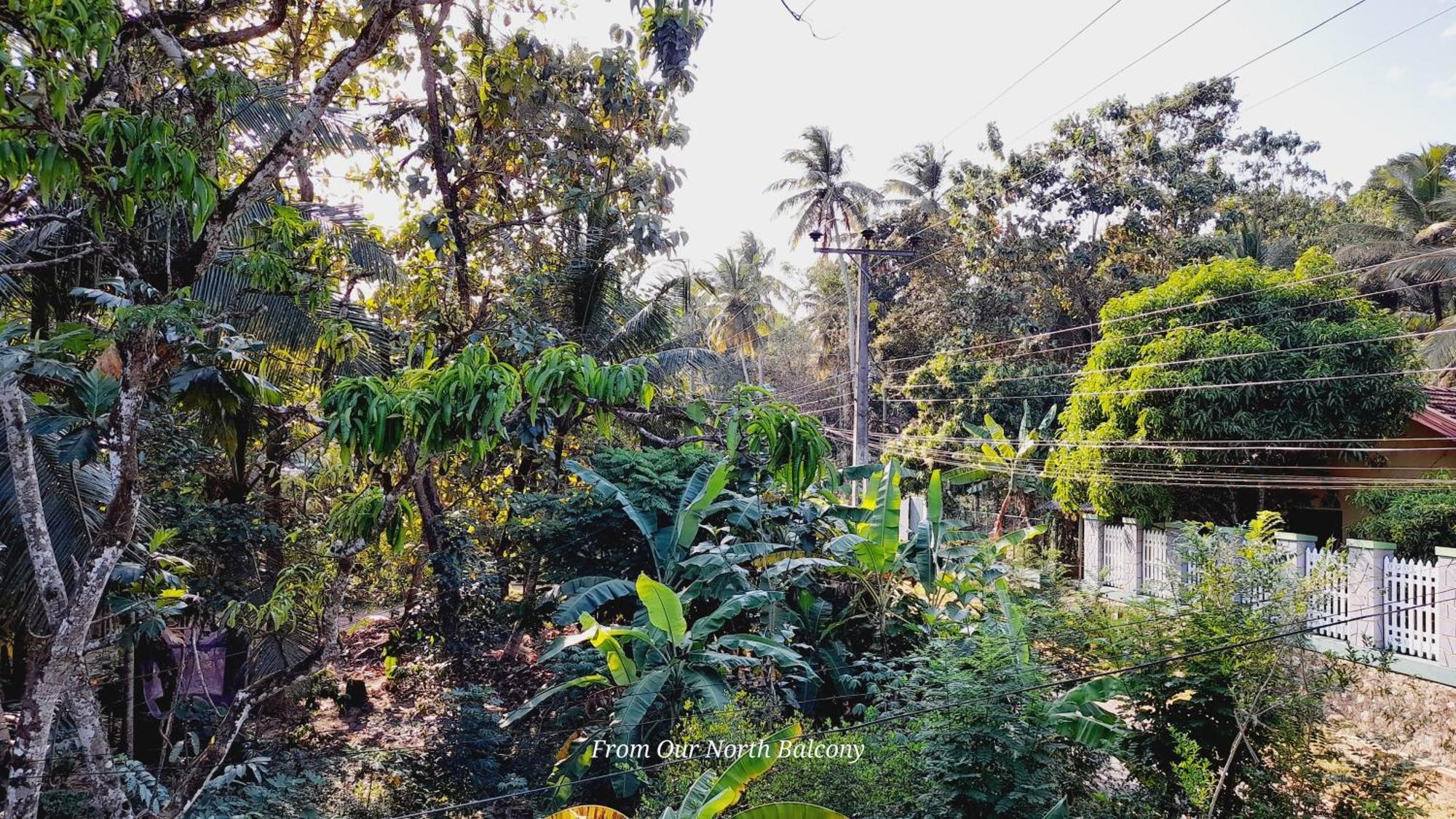 Le Meridien Bnb For Foreign Travelers Negombo Exterior foto